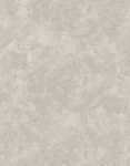 32036_webp