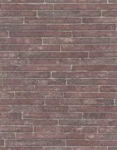 58421-webp