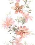 K 81626webp