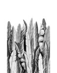 47207 (4) (1)