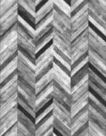 47246_0 (1)