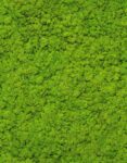 Up-To-Date-34862-tapeta-scienna-Marburg (1) (1)