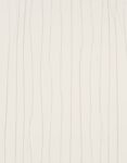 crush_motion__63403_ (1)