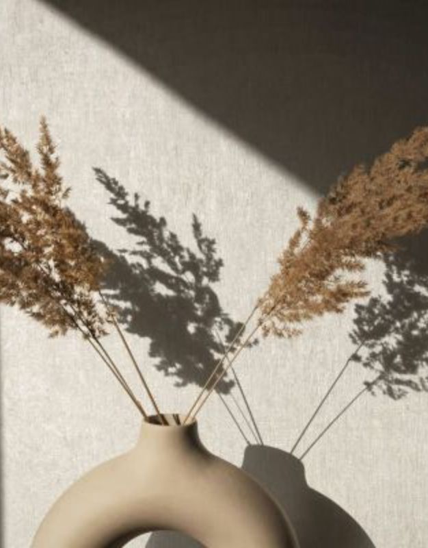 kg-171453-1_234076_800x800 (1)