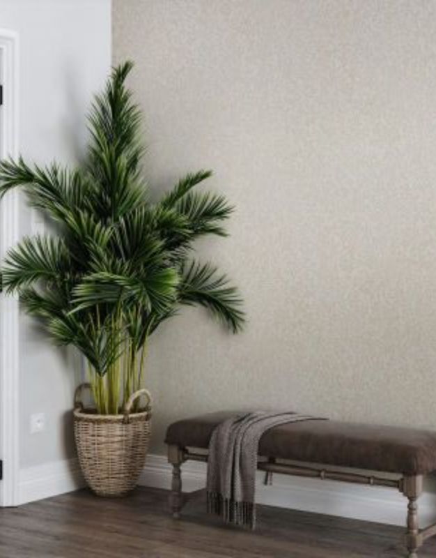 kg-171462-1_234116_800x800 (1)