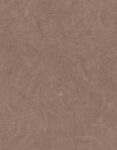 Tapete-6629-Metamorfosis-Cristiana-Masi (1)